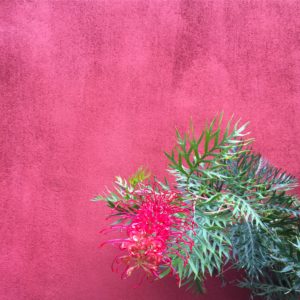 20170914_095007038_iOS